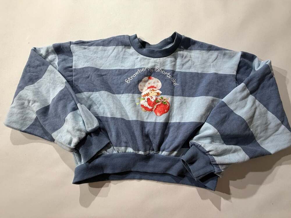Strawberry Shortcake Womens XS Blue Stripe Crop Sweatshirt Graphic Logo